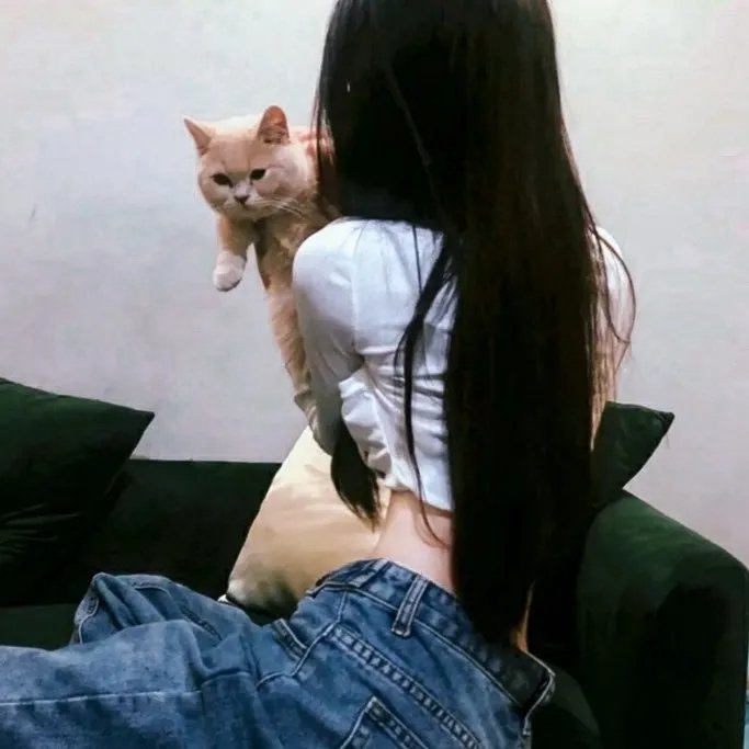 被流浪猫捡到的男人